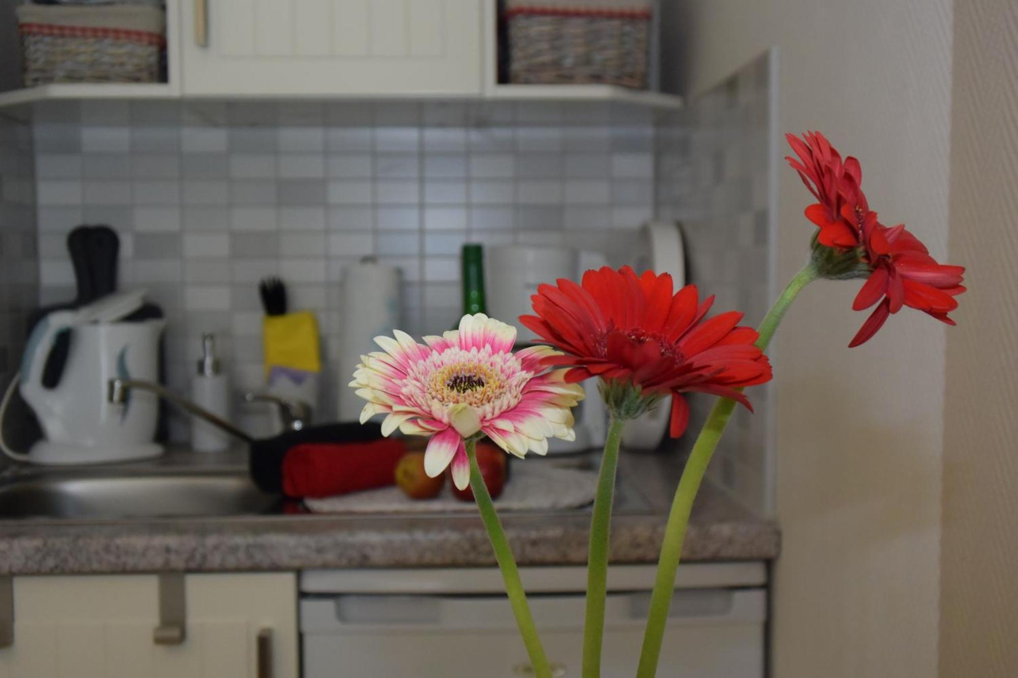 Ferienapartments Urlaub Und Meer Kuehlungsborn Room photo